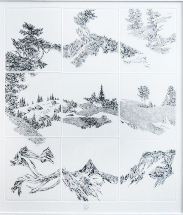 Uli Wirz (*1943), Brig: «Landschaft im Wind», Ätzradierung auf neun Platten, 1991, Blatt mit Bietschhorn-Hohnalpa, Schenkung des Künstlers.